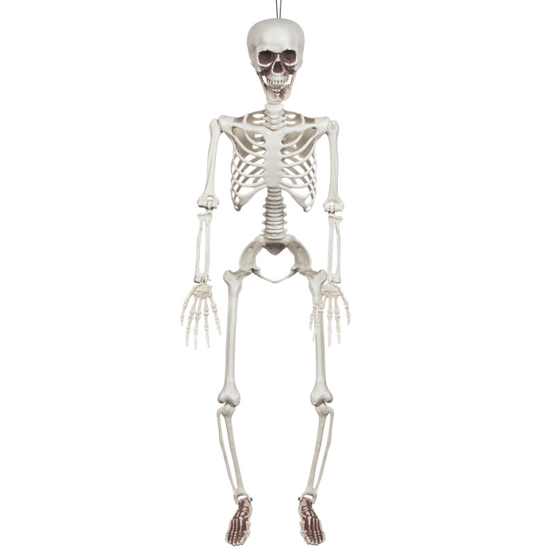 Skeleton dekorácia na zavesenie, 91 cm